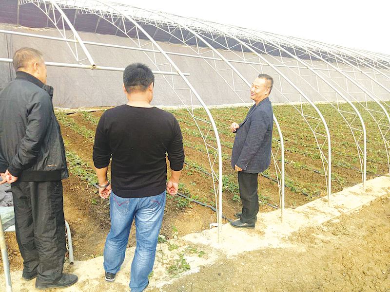 腾博会官网集团有限公司内容图片展示